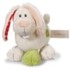 Nici 37884 Hase Tilli Stehend 15cm Schmusetier My First Nici Plüsch Kuscheltier 1 Nici 37884 Hase Tilli Stehend 15cm Schmusetier My First Nici Plüsch Kuscheltier -Boutique-Laden für Plüschtiere 37884 me