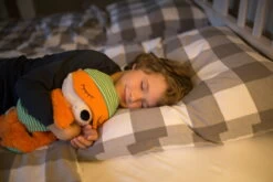 Nici 48463 Schlafmützen Fuchs Finjo Ca 38cm Plüsch Kuscheltier -Boutique-Laden für Plüschtiere 42683 09 Image 2048x1365 1