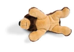 Nici 44052 MagNICI Grizzlybär Criz Lee Ca 12cm Plüsch Magnettier Forest Friends -Boutique-Laden für Plüschtiere 44052 03 ZA 2048x1427