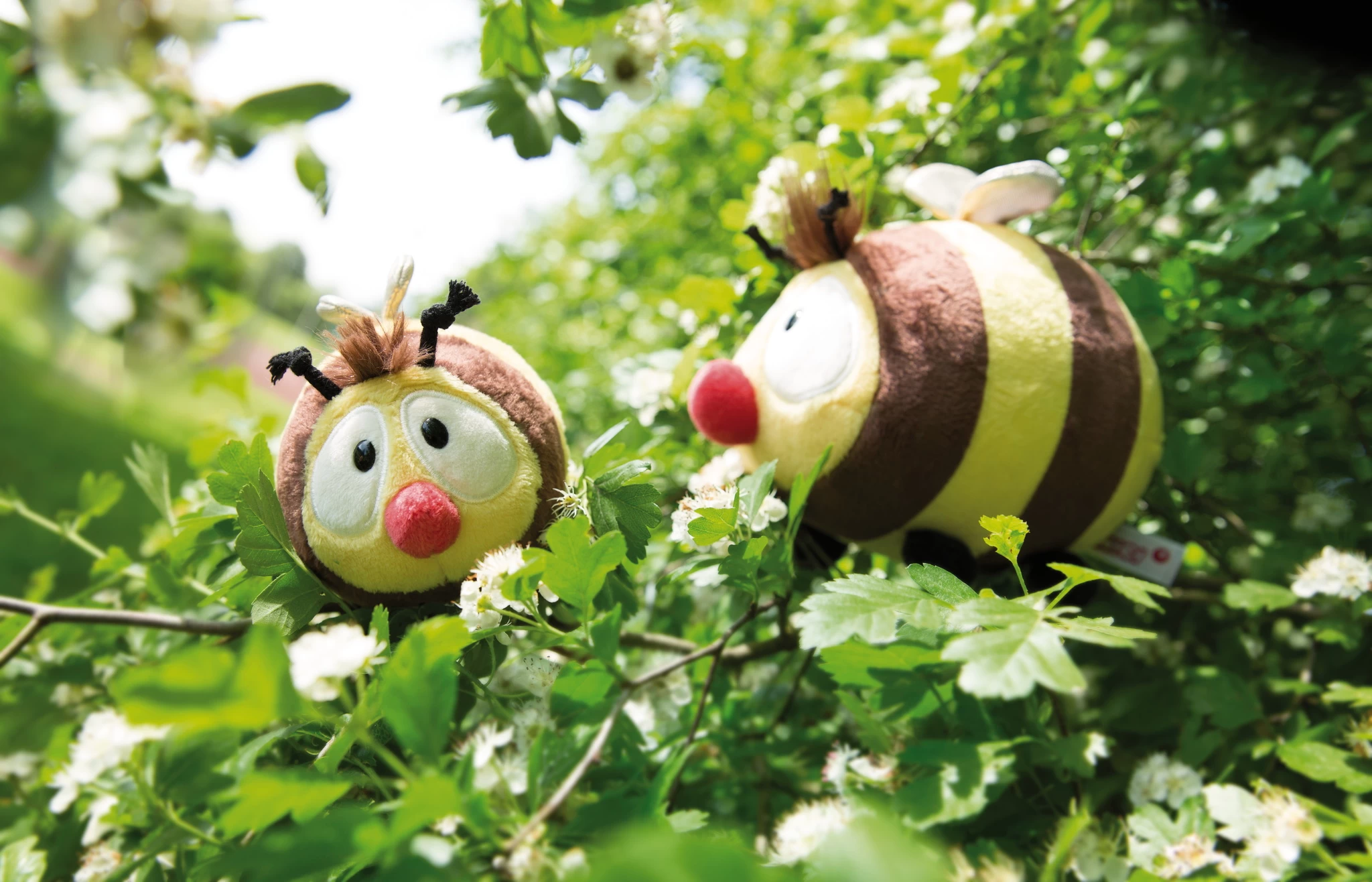 Nici 44480 Biene Classic Bear Bär Ca 12cm Plüsch Kuscheltier 7 Nici 44480 Biene Classic Bear Bär Ca 12cm Plüsch Kuscheltier – Bild 5