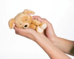 Nici 48111 Sleeping Puppies Schlafendes Hundebaby Im Körbchen 12cm Karamell 8 Nici 48111 Sleeping Puppies Schlafendes Hundebaby Im Körbchen 12cm Karamell -Boutique-Laden für Plüschtiere 45371 12 image 2048x1638 1