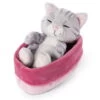 Nici 48086 Sleeping Kitties Schlafende Katze Im Körbchen 12cm Plüsch Grau 2 Nici 48086 Sleeping Kitties Schlafende Katze Im Körbchen 12cm Plüsch Grau -Boutique-Laden für Plüschtiere 47141 01 HA Frei 1867x2048