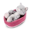 Nici 47144 Sleeping Kitties Schlafende Katze Im Körbchen 16cm Plüsch Grau 2 Nici 47144 Sleeping Kitties Schlafende Katze Im Körbchen 16cm Plüsch Grau -Boutique-Laden für Plüschtiere 47144 01 HA Frei 2048x1752