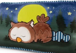 Nici 47879 Kissen Eule Oscar Schlafend Glow In The Dark 43x25cm Plüsch Owlsons -Boutique-Laden für Plüschtiere 47879 04 ZA Frei 2048x1451