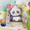 Nici 48417 Singing Panda Mit Sing- & Tanzfunktion Ca 20cm Plüsch Kuscheltier -Boutique-Laden für Plüschtiere 48417 12 Milieu 1480x2048