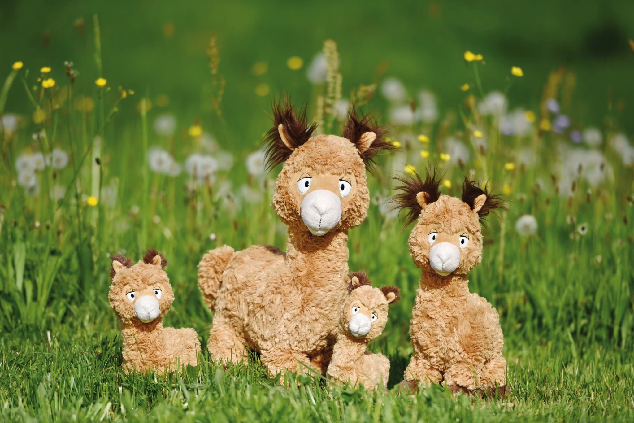 Nici 48604 Alpaka Al Paka 25cm Stehend Plüsch Kuscheltier GREEN 7 Nici 48604 Alpaka Al Paka 25cm Stehend Plüsch Kuscheltier GREEN – Bild 5