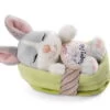 Nici 48706 Sleeping Pets Bunnies Hase Grau 12cm Schlafend Im Körbchen Grün -Boutique-Laden für Plüschtiere 48706 01 HA Frei 2048x1476