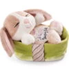 Nici 48709 Sleeping Pets Bunnies Hase Cappuccino 12cm Schlafend Im Körbchen Grün -Boutique-Laden für Plüschtiere 48709 01 HA Frei 2048x1582