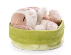 Nici 48709 Sleeping Pets Bunnies Hase Cappuccino 12cm Schlafend Im Körbchen Grün -Boutique-Laden für Plüschtiere 48709 02 ZA Frei 2048x1588