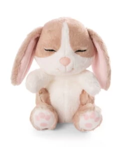 Nici 48709 Sleeping Pets Bunnies Hase Cappuccino 12cm Schlafend Im Körbchen Grün -Boutique-Laden für Plüschtiere 48709 04 ZA Frei 1726x2048