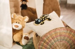 Nici 48780 Salamander Don Fuego Ca 25cm Plüsch Kuscheltier GREEN Classic Bear 13 Nici 48780 Salamander Don Fuego Ca 25cm Plüsch Kuscheltier GREEN Classic Bear -Boutique-Laden für Plüschtiere 48775 14 48782 Milieu 2048x1342