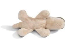 Nici 48802 MagNICI Dino Fossily 12cm Plüsch Dino Dinosaurier Magnetfigur GREEN -Boutique-Laden für Plüschtiere 48802 03 ZA weiss 2048x1360