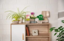 Nici 48943 Aloe Vera Pflanze Willibald 18cm Plüschfigur GREEN Funny Flowers -Boutique-Laden für Plüschtiere 48941 11 Milieu 48942 48943 48944 Milieu me