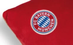 Nici 49080 Kissen FC BAYERN MÜNCHEN Bär Berni 43x25cm Plüsch FCB Dekokissen -Boutique-Laden für Plüschtiere 49080 04 ZA weiss 792x492